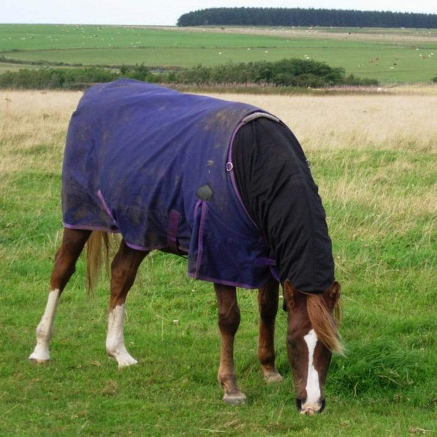 Headless Weatherproof Turn Out Hood for Horse & Pony - Wind proof and Mud proof, the ideal mane saver - Snuggy Hoods