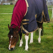 Headless Weatherproof Turn Out Hood for Horse & Pony - Wind proof and Mud proof, the ideal mane saver - Snuggy Hoods